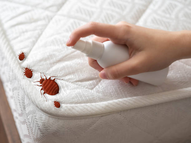 Best Pest Prevention Services  in Brock Hall, MD